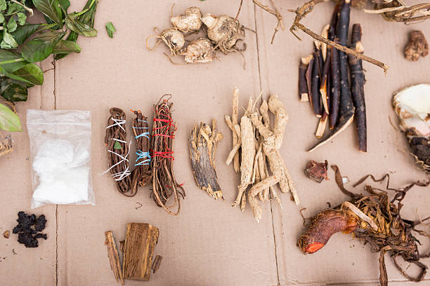 Médecine traditionnelle africaine